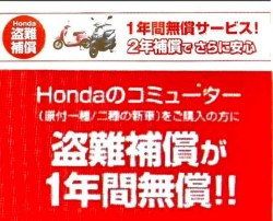 �z���_�W�����m�i���Q�����R�s�j�摜13