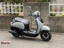 �z���_�W�����m�i���Q�����R�s�j�摜3