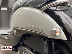 �z���_�W�����m�i���Q�����R�s�j�摜14