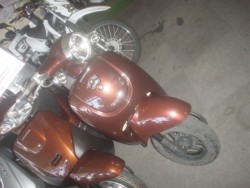 �z���_�W�����m�i���Q�����R�s�j�摜1