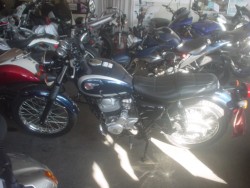 �J���T�LW230�i���Q�����R�s�j�摜2