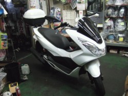 z_ PCX 