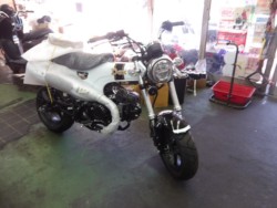 �z���_&nbsp;�_�b�N�X125 