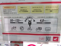 �z���_Dio110 Lite�i����������s�j�摜2