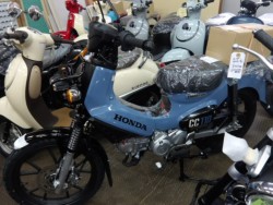 �z���_�N���X�J�u110�i����������s�j�摜2