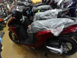 �z���_Dio110 Lite�i����������s�j�摜2