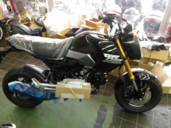 �z���_�O�����i����������s�j�摜2