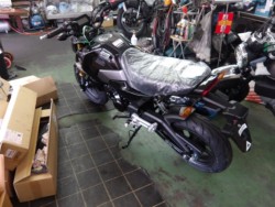 �z���_�O�����i����������s�j�摜3