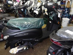 �X�Y�L�A�h���X125�i����������s�j�摜3