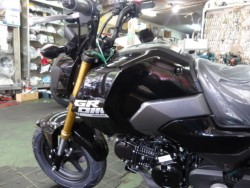 �z���_�O�����i����������s�j�摜4