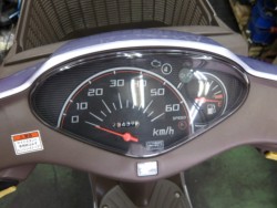 �z���_�f�B�I�`�F�X�^�i����������s�j�摜6