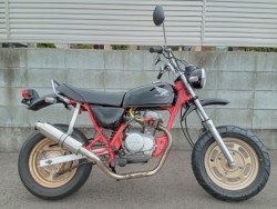 z_GCv50isj摜1