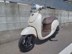 �z���_�W�����m�i�����������s�j�摜1