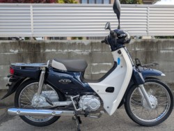 �z���_&nbsp;�X�[�p�[�J�u110 