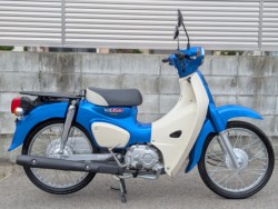 �z���_&nbsp;�X�[�p�[�J�u50�iAA09�j 