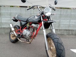 z_GCv50isj摜2
