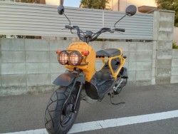 �z���_�Y�[�}�[�i�����������s�j�摜2