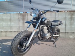 �z���_�G�C�v50�i�����������s�j�摜2