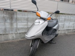 �z���_�X�y�C�V�[100�i�����������s�j�摜2