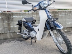 �z���_�X�[�p�[�J�u110�i�����������s�j�摜2