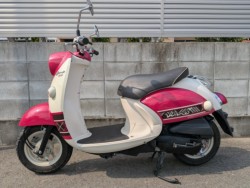 ���}�n�r�[�m�i�����������s�j�摜2