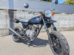 �z���_�G�C�v50�i�����������s�j�摜2