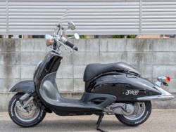 �z���_�W���[�J�[50�i�����������s�j�摜2