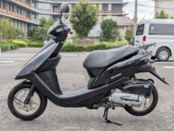 �z���_�f�B�I�i�����������s�j�摜2