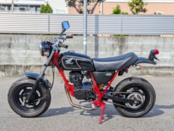 �z���_�G�C�v50�i�����������s�j�摜2