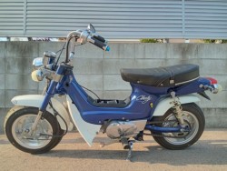 z_V[50isj摜3