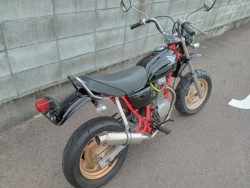 z_GCv50isj摜3