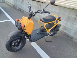 �z���_�Y�[�}�[�i�����������s�j�摜3