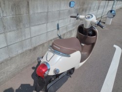 �z���_�W�����m�i�����������s�j�摜3