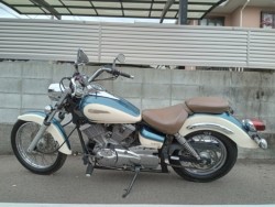 ���}�n�h���b�O�X�^�[250�i�����������s�j�摜3