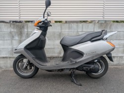 �z���_�X�y�C�V�[100�i�����������s�j�摜3