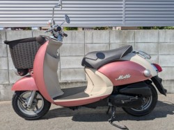 ���}�n�r�[�m�����t�F�i�����������s�j�摜3