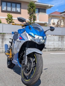 �X�Y�L�W�N�T�[SF250�i�����������s�j�摜3