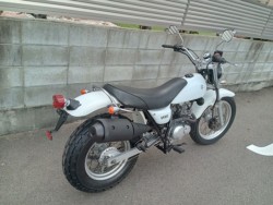 �X�Y�L�o���o��200�i�����������s�j�摜4