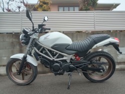 �z���_VTR250�i�����������s�j�摜4
