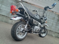 �A���E���̑��A���ԁE���̑��i�����������s�j�摜4