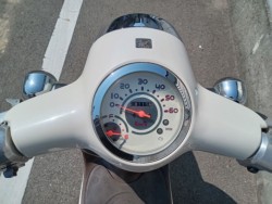 �z���_�W�����m�i�����������s�j�摜4