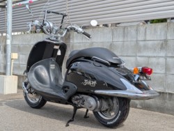 �z���_�W���[�J�[50�i�����������s�j�摜4