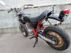 z_GCv50isj摜5