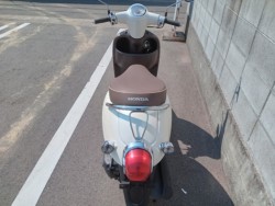 �z���_�W�����m�i�����������s�j�摜5