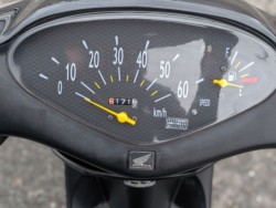 �z���_�f�B�I�i�����������s�j�摜5