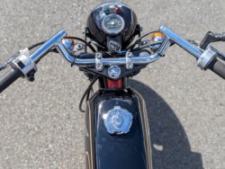 �z���_�G�C�v50�i�����������s�j�摜5