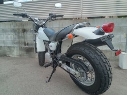 �X�Y�L�o���o��200�i�����������s�j�摜6