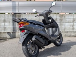 ���}�n�O�����h�A�N�V�X100�i�����������s�j�摜6
