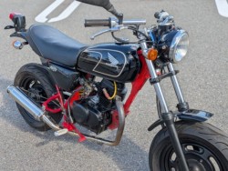 �z���_�G�C�v50�i�����������s�j�摜6