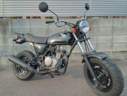 �z���_�G�C�v50�i�����������s�j�摜7